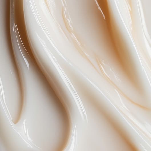 The Aesthetic Society